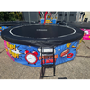 Bungee Trampoline