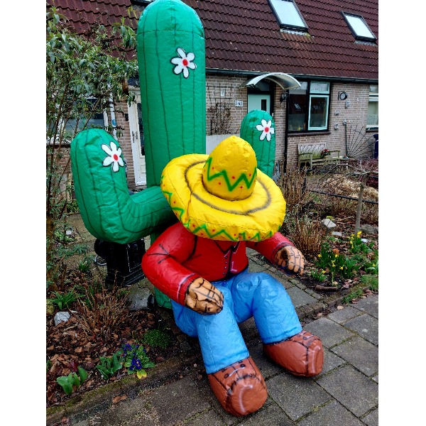 Cactus Ringwerpen